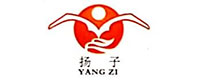 江苏扬子水泥